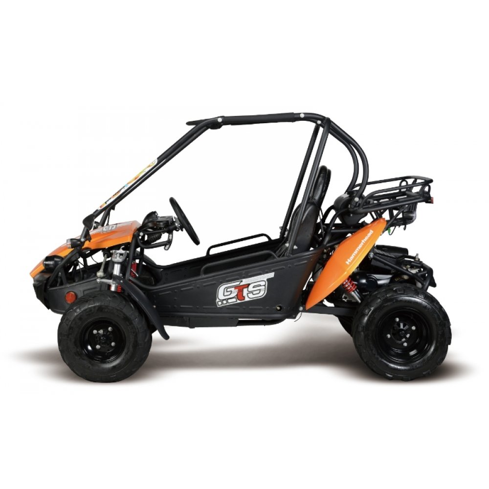 hammerhead gts 150 transmission