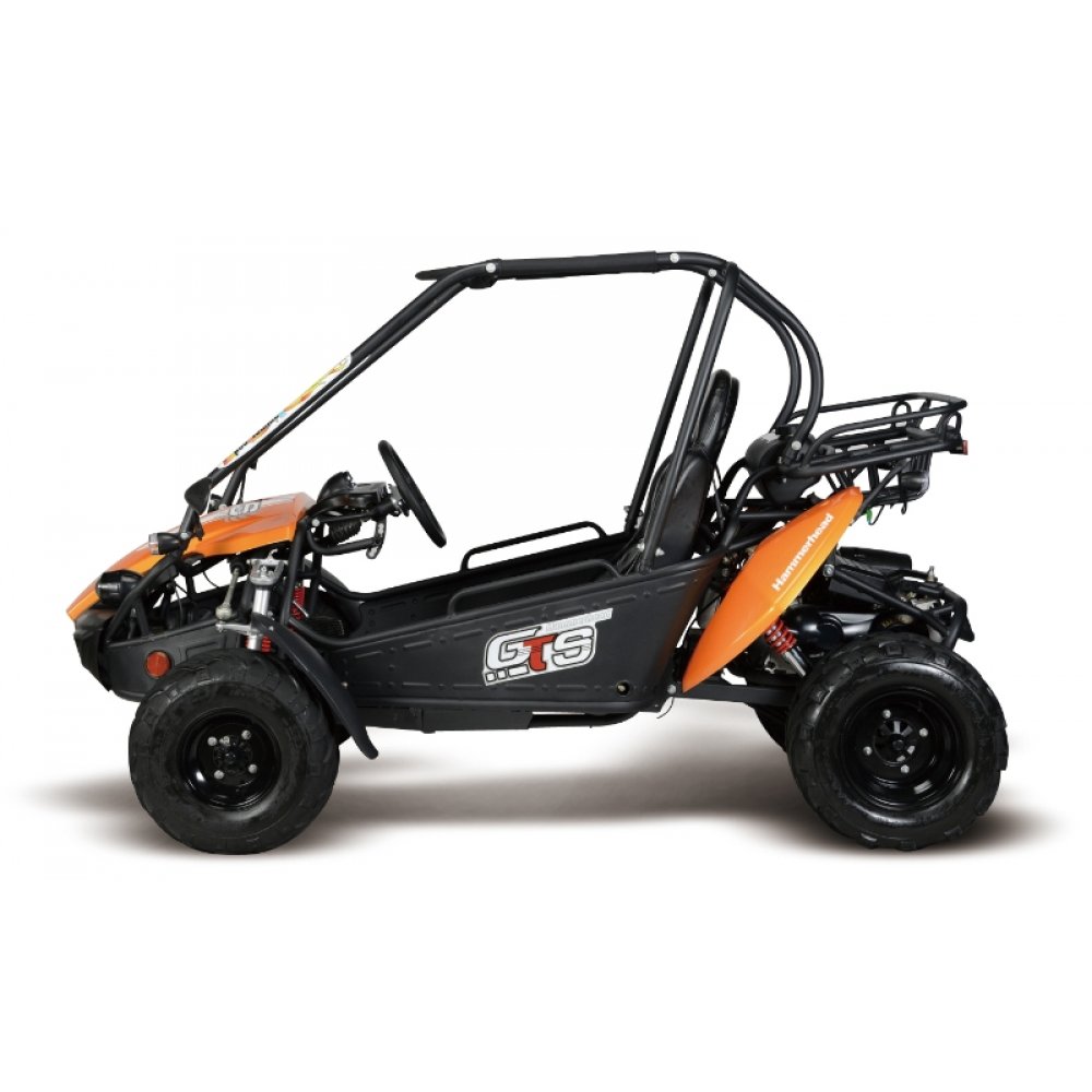 gts 150 buggy